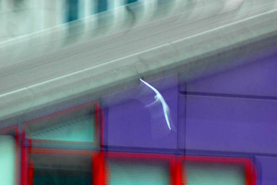 To All the Angels That Went